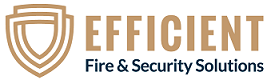Efficient Fire Logo