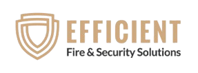 Efficient Fire Logo