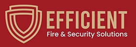 Efficient Fire Logo