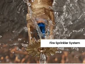 fire sprinkler system